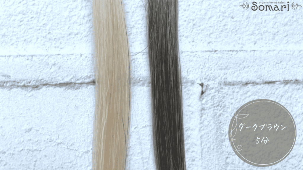 ブラトリの悪い口コミ】白髪染まらない？エメリル白髪染め