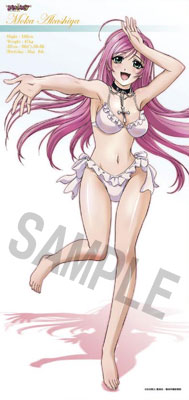 ロザリオとバンパイア 赤夜萌香 等身大タペストリー[ぴっころ]《在庫切れ》