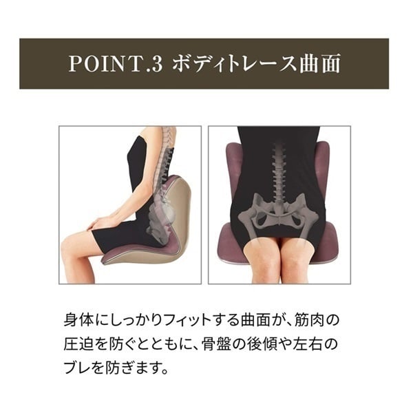 MTG Style PREMIUM スタイルプレミアム 腰痛 骨盤 姿勢 | イオン