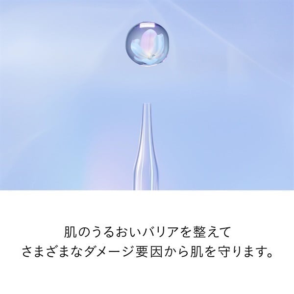 クレ・ド・ポー ボーテ ル・セラムⅡ スモール | イオンスタイル