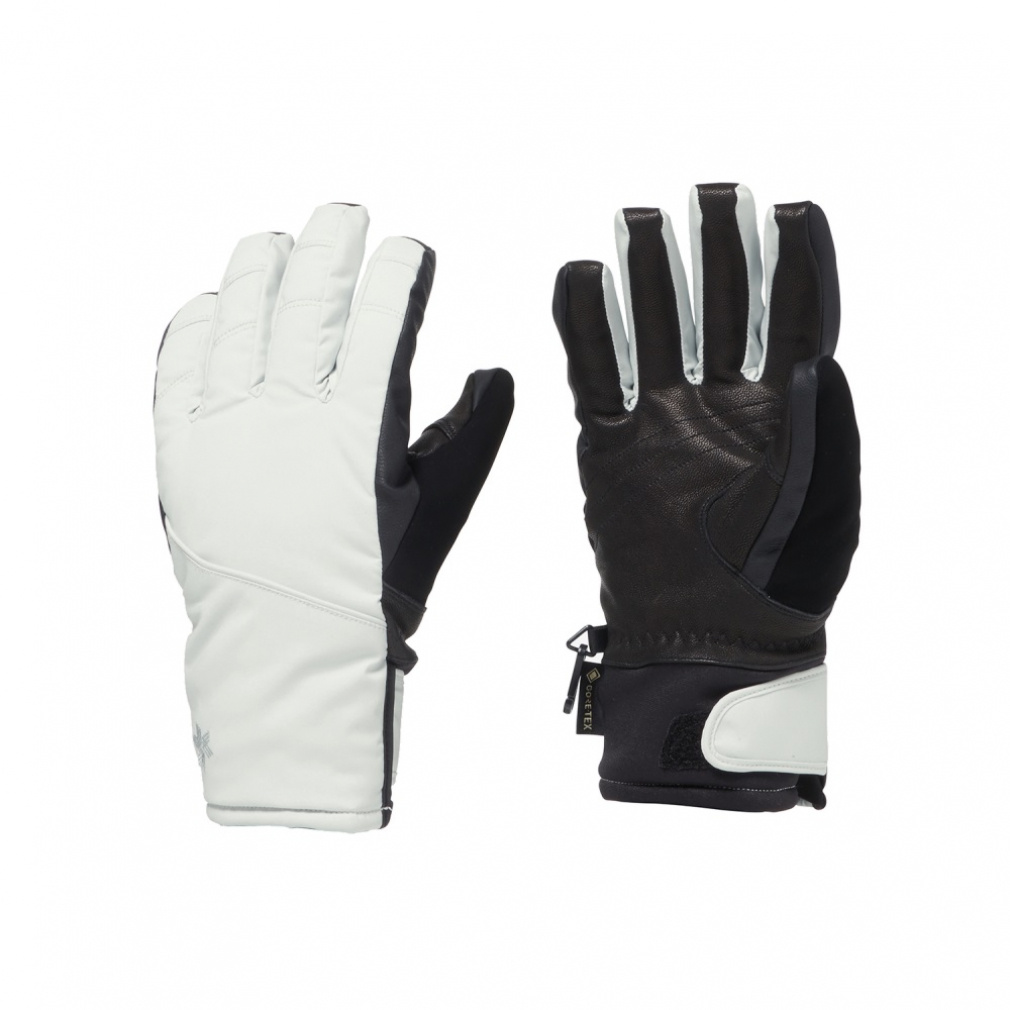 ゴールドウィン レディース スキー グローブ ウィメンズゴアテックス