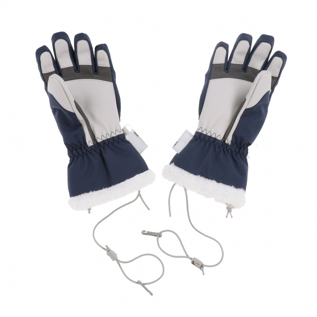 フェニックス ジュニア キッズ 子供 スキー グローブ Phenix Color Pin