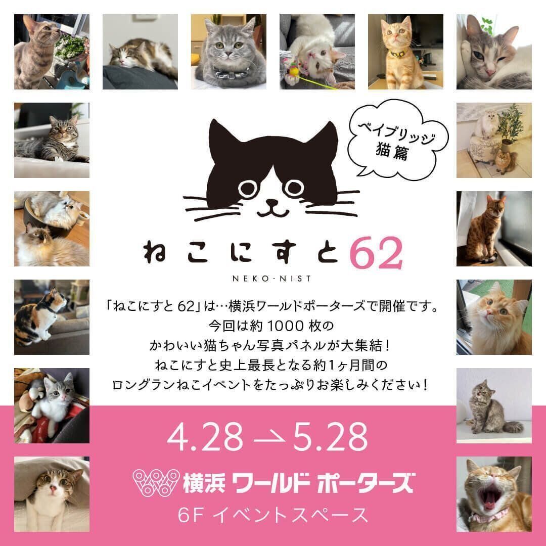 ねこにすと62」横浜ワールドポーターズで2023年4月28日（金）より開催