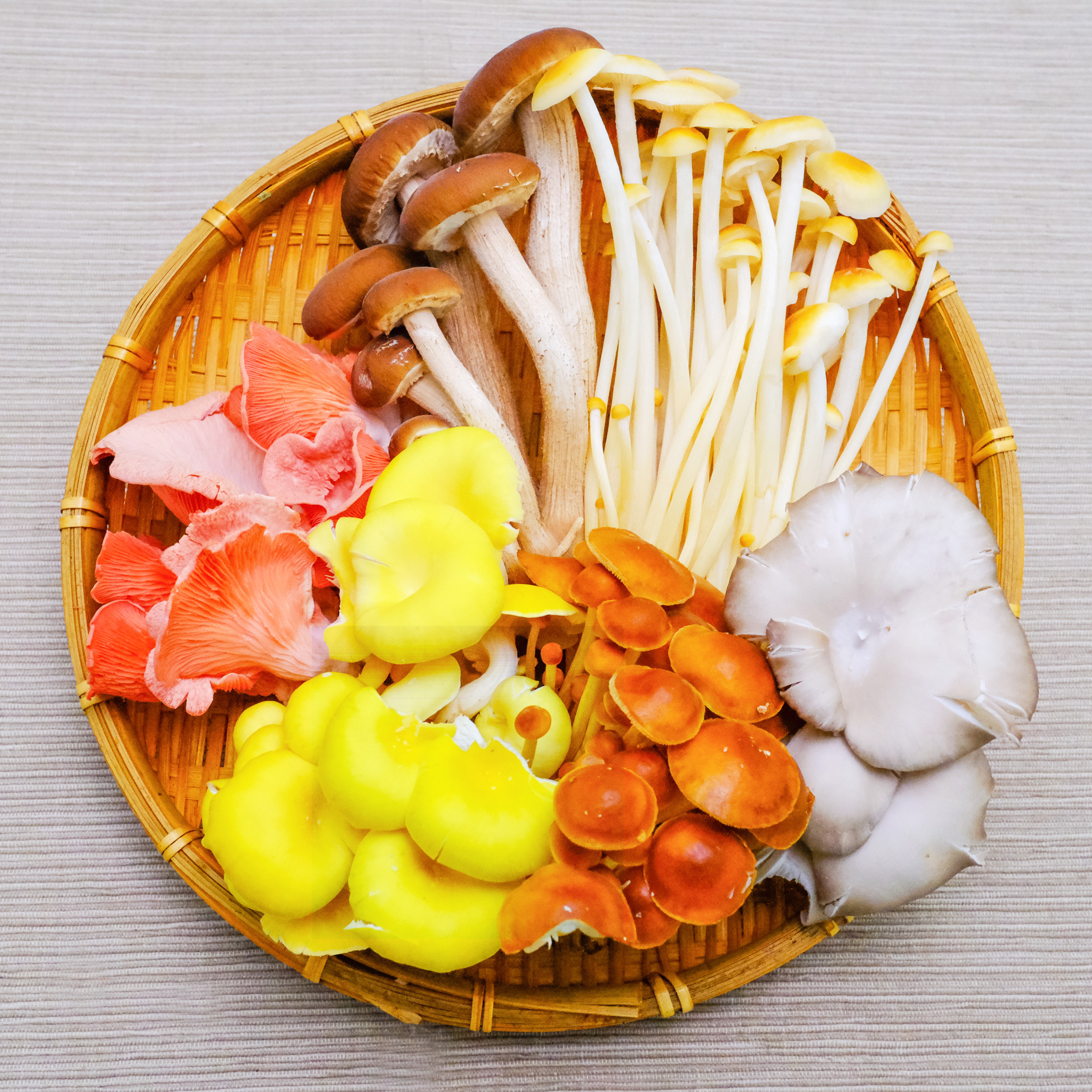 新鮮生きのこセット 6種類 各2パック（12パック） 長野県須坂市産 希少