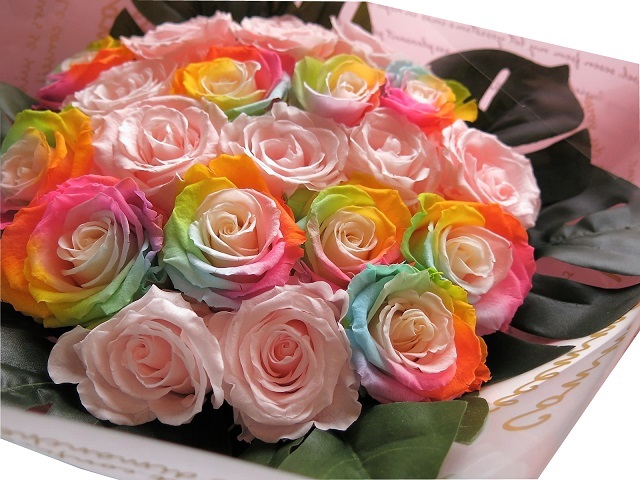 レインボーローズ ピンクバラ プリザーブドフラワー 花束 大輪系20本
