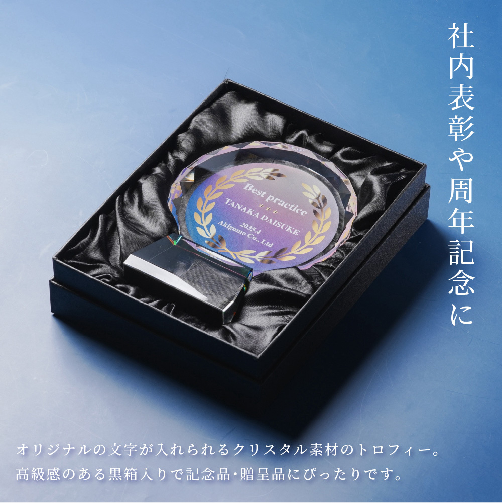トロフィー大 Lサイズ 丸型 社内表彰・周年記念用 CR-13A クリスタル