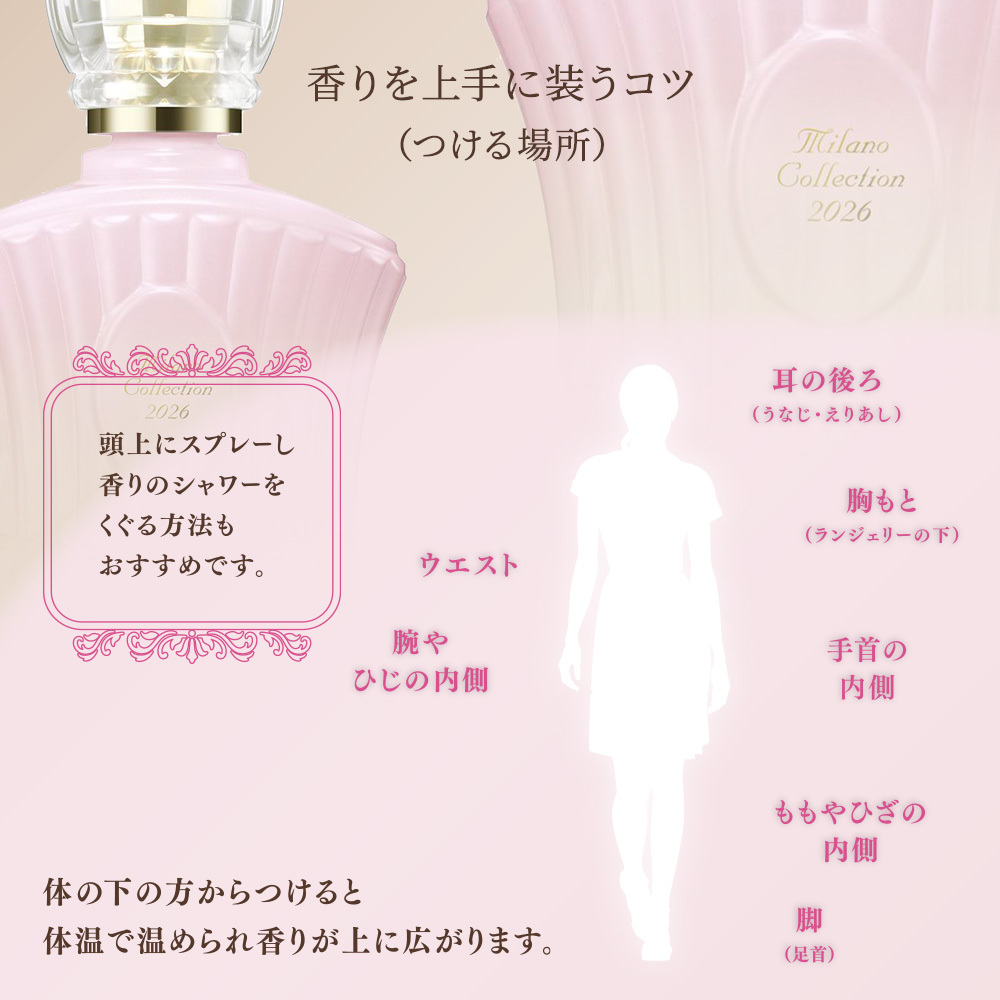 予約】【2025年11月8日発売】【数量限定】ミラノコレクション 2026