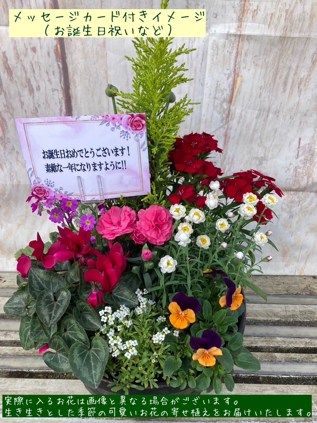 季節の寄せ植え La nature ハンドリーポット 内径24cm （ホワイト・4色