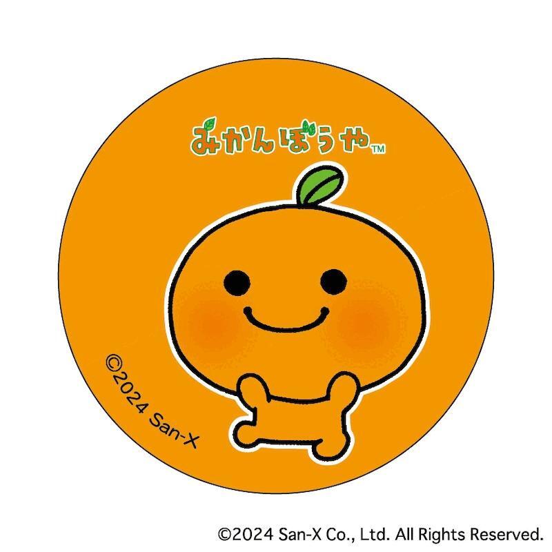 みかんぼうや グッズ 通販 サンエックスレジェンド 缶バッジ まじかる