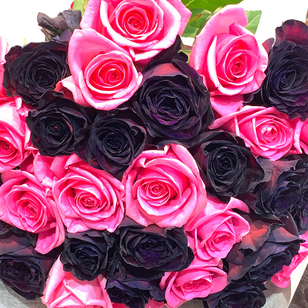 ブラック アンド ピンク バラ束 40本 花束 薔薇 プレゼント お祝い