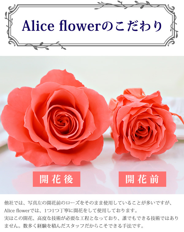 プリザーブドフラワー バラ 10輪(10本) 幸福の花束 ギフト ローズ