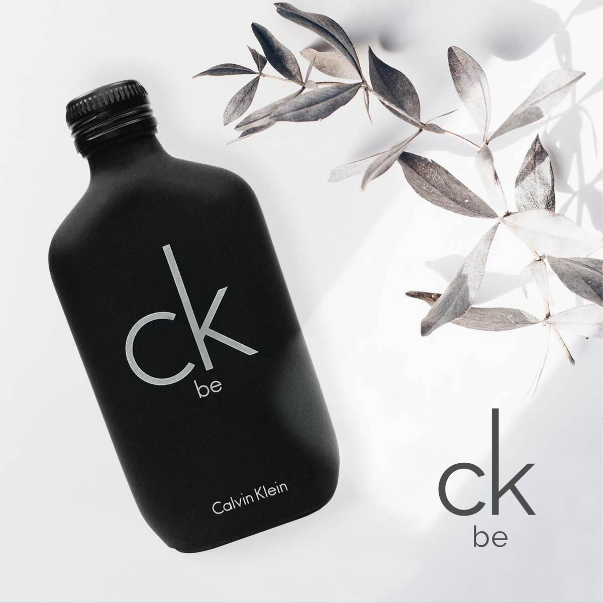 カルバンクライン 香水 メンズ シーケービー レディース EDT