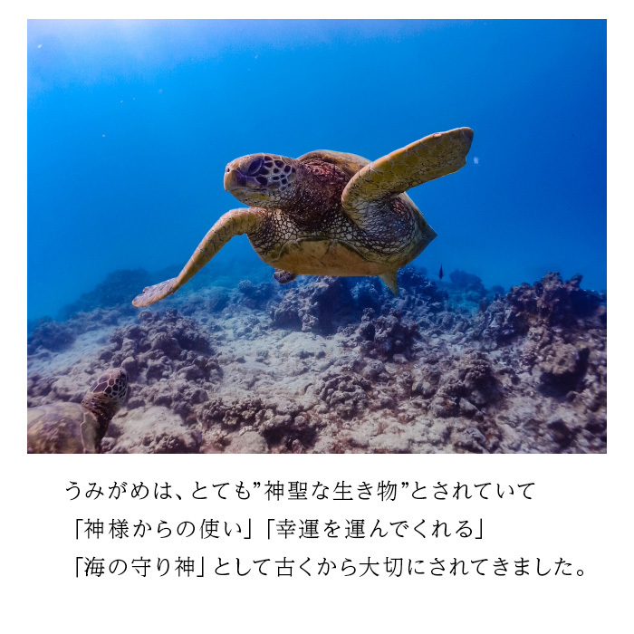 レジンアートウミガメキーホルダー】【海のレジンアート