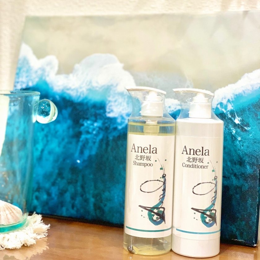 Anela】テラヘルツ 北野坂 アミノ酸 シャンプー コンディショナー