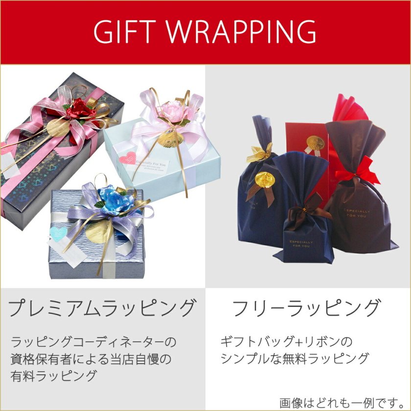 レスポートサック LeSportsac バッグ パソコンケース PCケース ラップ