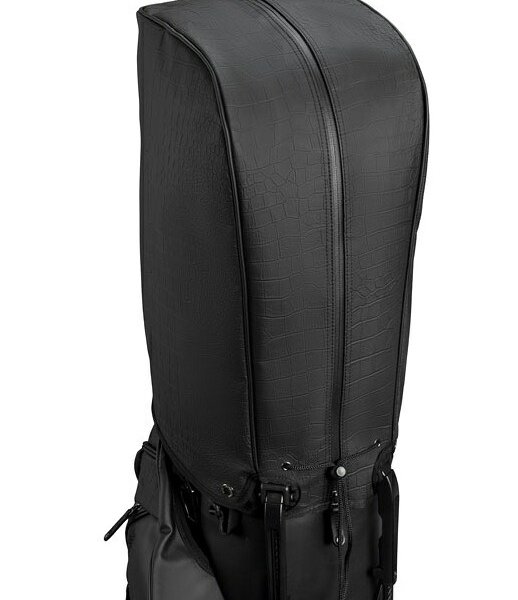 ベゼル VESSEL プレイヤー5.0 プロ PLAYER 5.0 PRO スタンド式