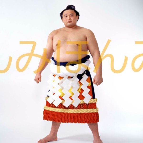 貴乃花光司関 優勝ミニ額 大相撲ミニ額 大相撲優勝額 平成9年3月場所