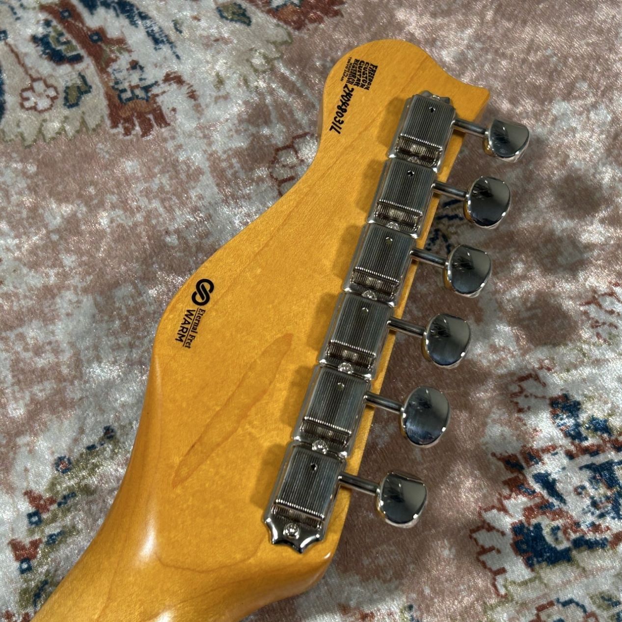 FREEDOM CUSTOM GUITAR RESEARCH Shaker Custom Order Lake Placid