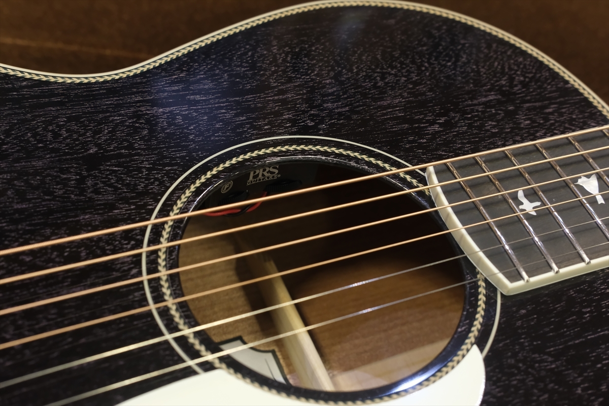 Paul Reed Smith(PRS) SE P20E Parlor with Fishman / Dog Hair 2023年