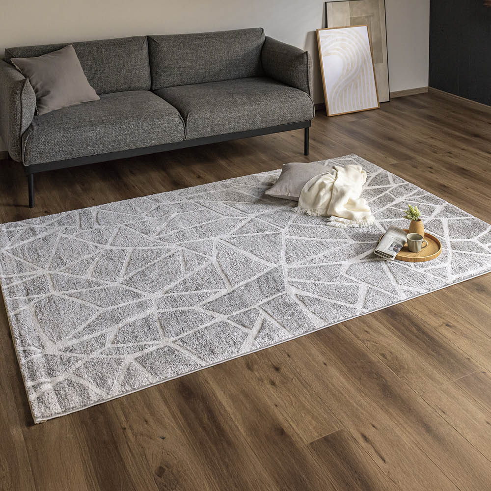 トルコ製ウィルトン織ラグ 通販 - ディノス