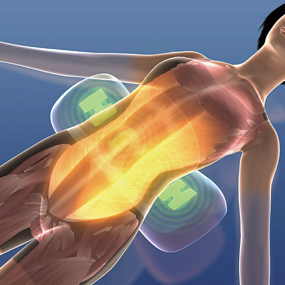 フィットネスクラブが作ったスタイリークッション 通販 - ディノス