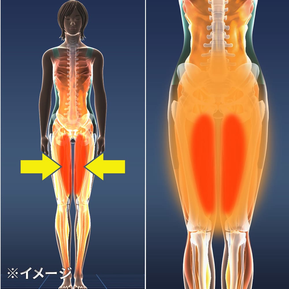 ジェットスリムボディMAXα（アルファ） 通販 - ディノス