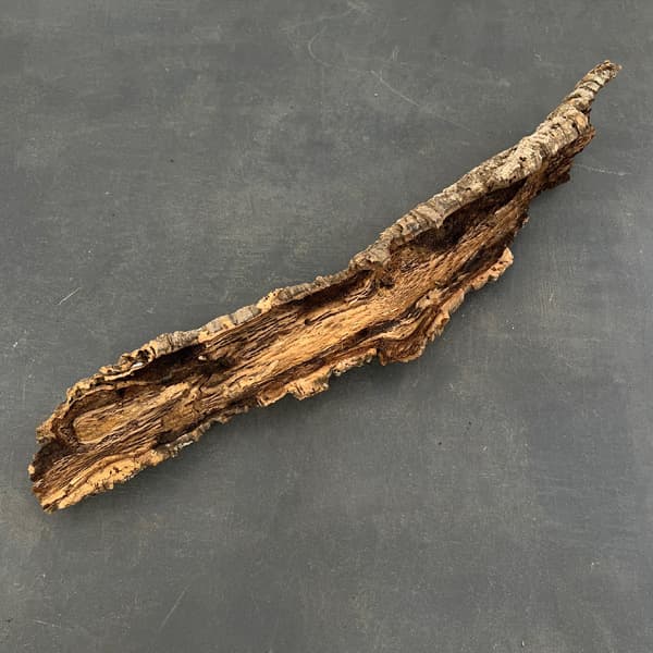 園芸ネット本店｜コルク樹皮：長さ約60cm（24-10） の通販【公式】