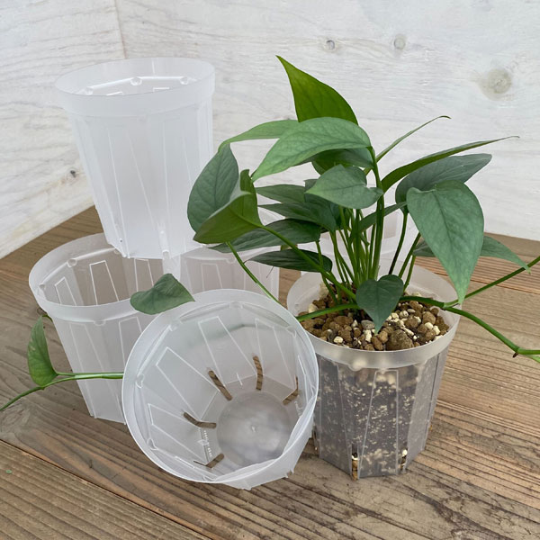 園芸ネット本店｜スリット鉢（透明）：ネガミエル4号ロング5個セット