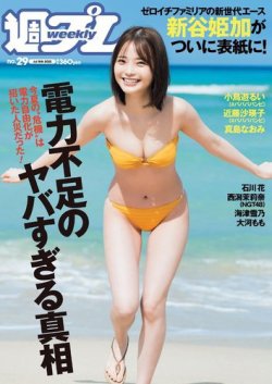 週刊プレイボーイ/週プレ 週刊プレイボーイ29号 (発売日2022年07月04日