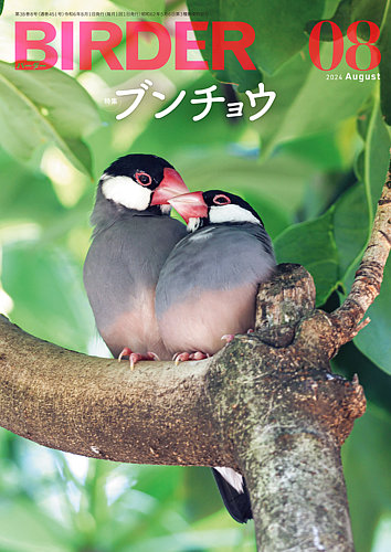 BIRDER（バーダー） 2024年8月号 (発売日2024年07月16日) | 雑誌/電子
