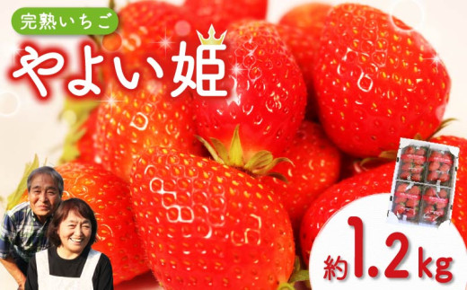 数量限定】【つやつやでまろやかな酸味】やよい姫 約1.2kg 300g×4
