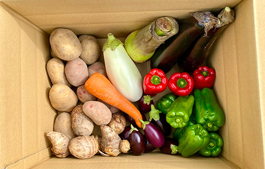 ≪先行予約 8月下旬～11月下旬発送！≫漉磯さんのお野菜おまかせ