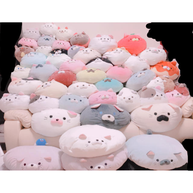 ドウシシャ - ごろねこサミット❥ニノミヤの通販 by 🐰プロフィール