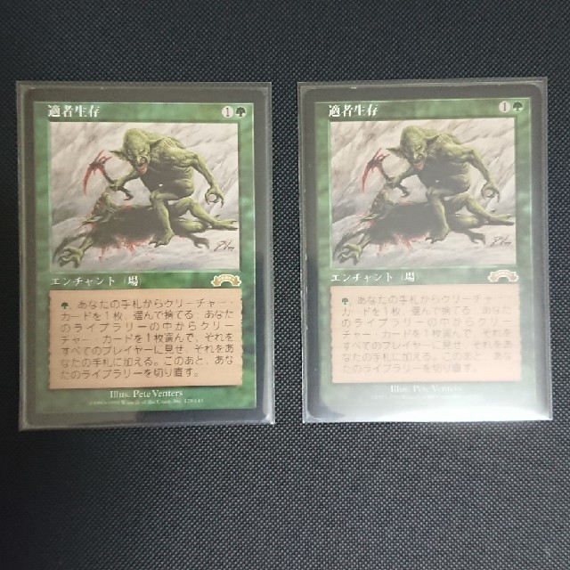 適者生存※一枚です。 MTG of the 日語 (英語） |