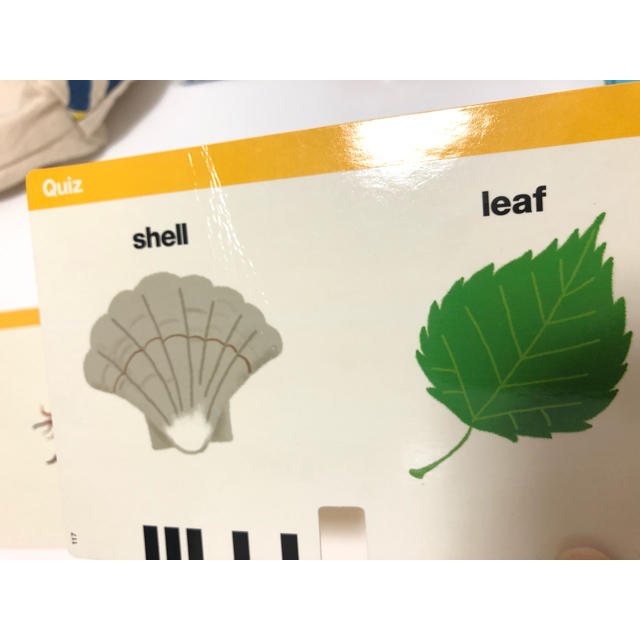 アクティブカードリーダー ワールドワイドキッズ WWK ステージ4 5 6の