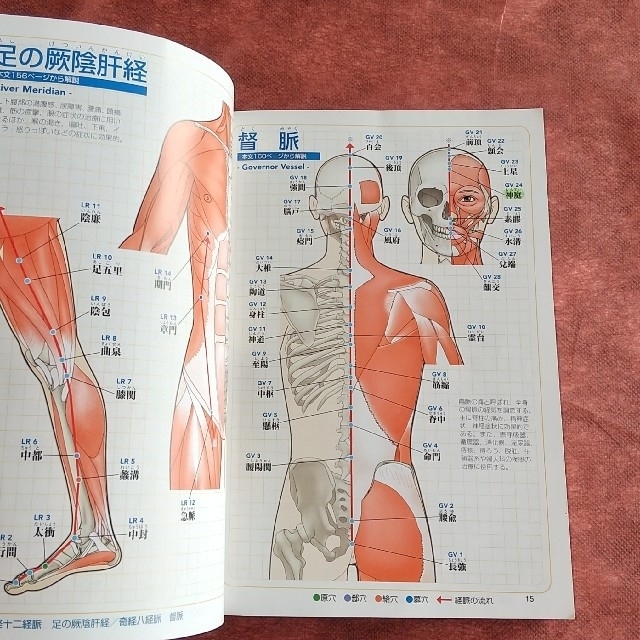 人体の経穴「ツボ」と経絡 図解東洋医学の通販 by ハル☆｜ラクマ