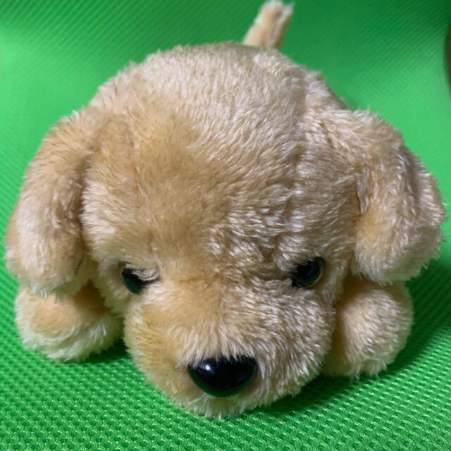 わんわんパーク ぬいぐるみの通販 by ていぼり's shop｜ラクマ