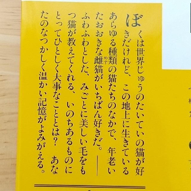 講談社 - 【美品】ふわふわ 村上春樹の通販 by pikari's shop