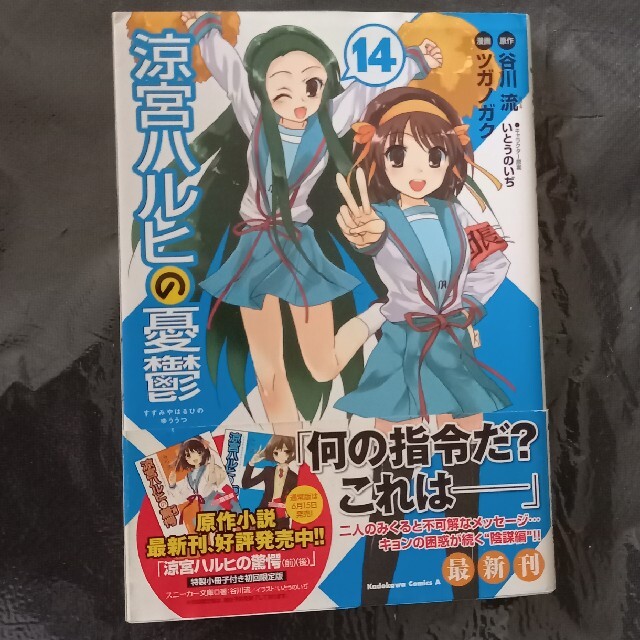 POOL SIDE - 涼宮ハルヒの憂鬱 第14巻 初版、帯付きの通販 by ババラ