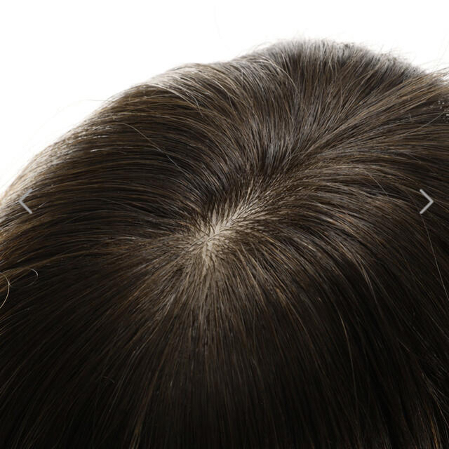 ギンカウィンカ ドレスドヘアー （バングあり）アッシュブラウンの通販