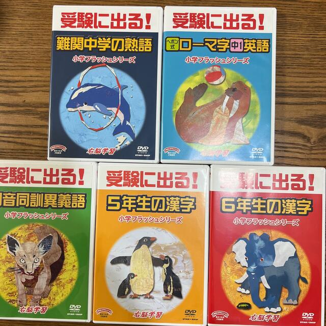 中学受験フラッシュDVD・CD 5科目セット 【公式通販】