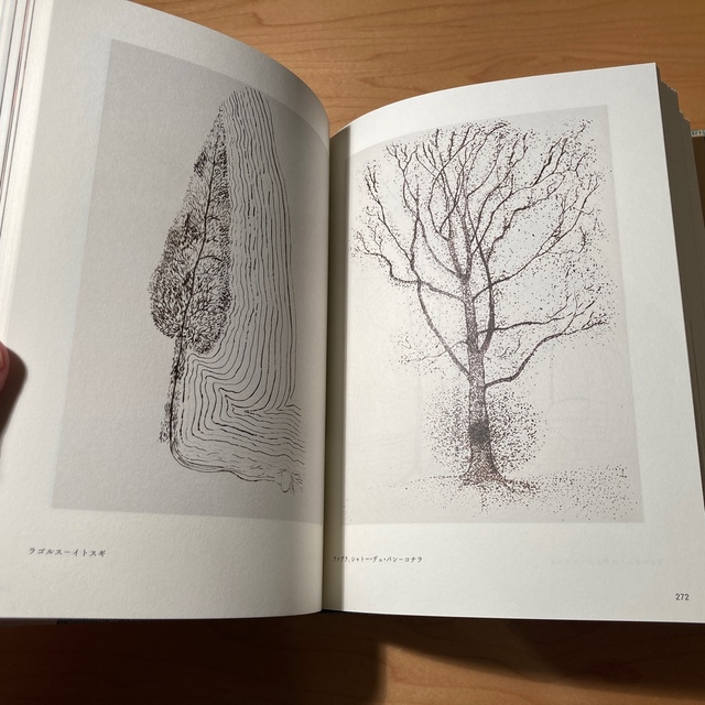 Savoir ＆ Faire 木の通販 by ®️｜ラクマ