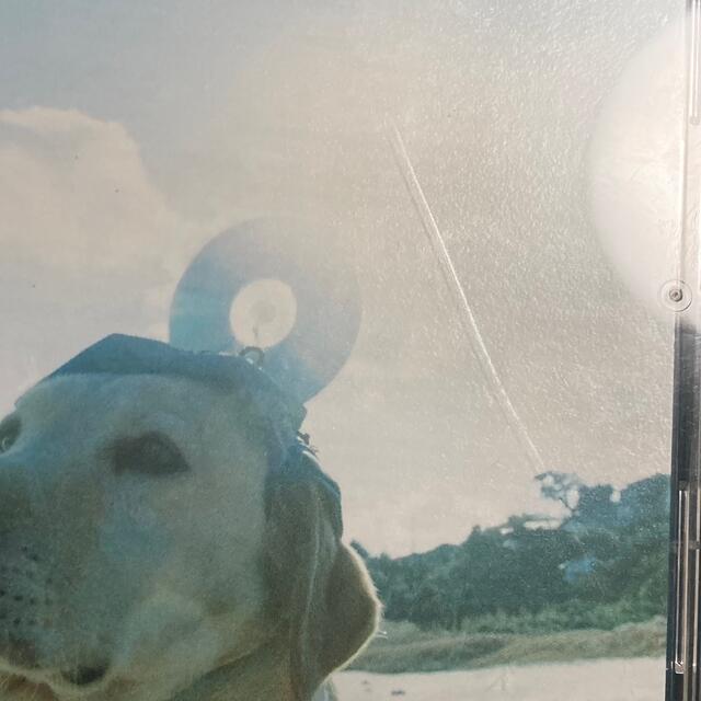 RADWIMPS 3～無人島に持っていき忘れた一枚～ アルバムCDの通販 by