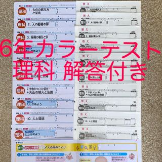 6年 カラーテスト 新学社 学校図書 理科 答え付きの通販 by hiro's