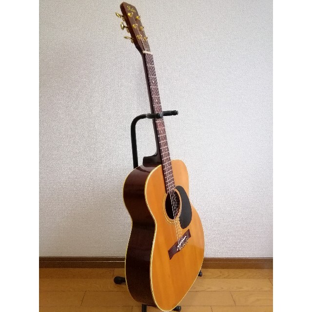 FOLEX 「F 120」アコースティックギター フォレックス 全音楽器？の