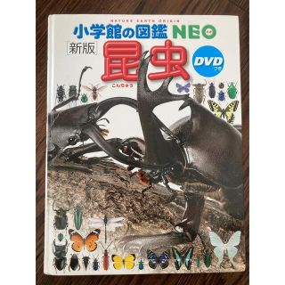 1657673753.jpg?1661471698