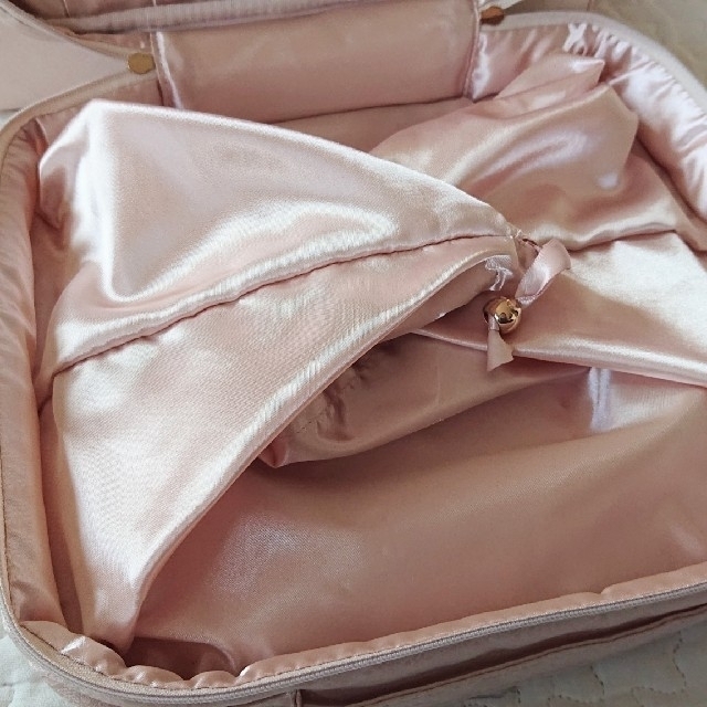 ALBION - ALBION アルビオン 記念品 トラベルポーチ ポーチ 非売品