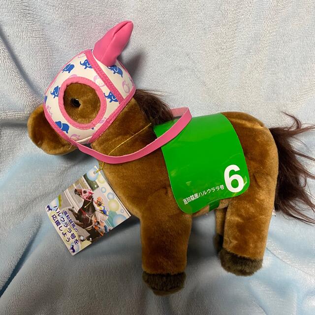 高知競馬 ハルウララ ハルウララ号を応援しよう ぬいぐるみの通販 by