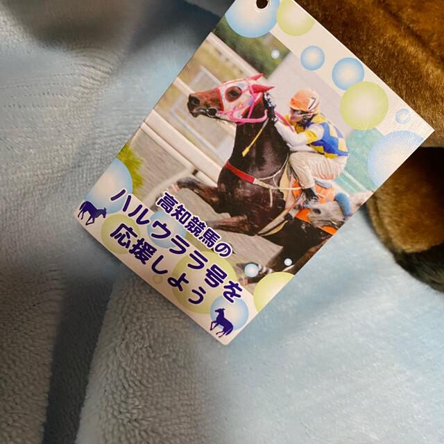 高知競馬 ハルウララ ハルウララ号を応援しよう ぬいぐるみの通販 by