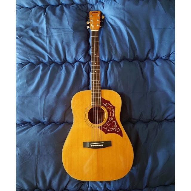 大幅値下げ☆70s国産 全音 Zen-on RF-150 ビィンテージギターの通販 by